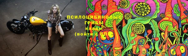 наркотики Алексин