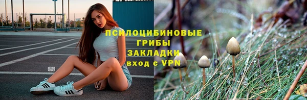 наркотики Алексин